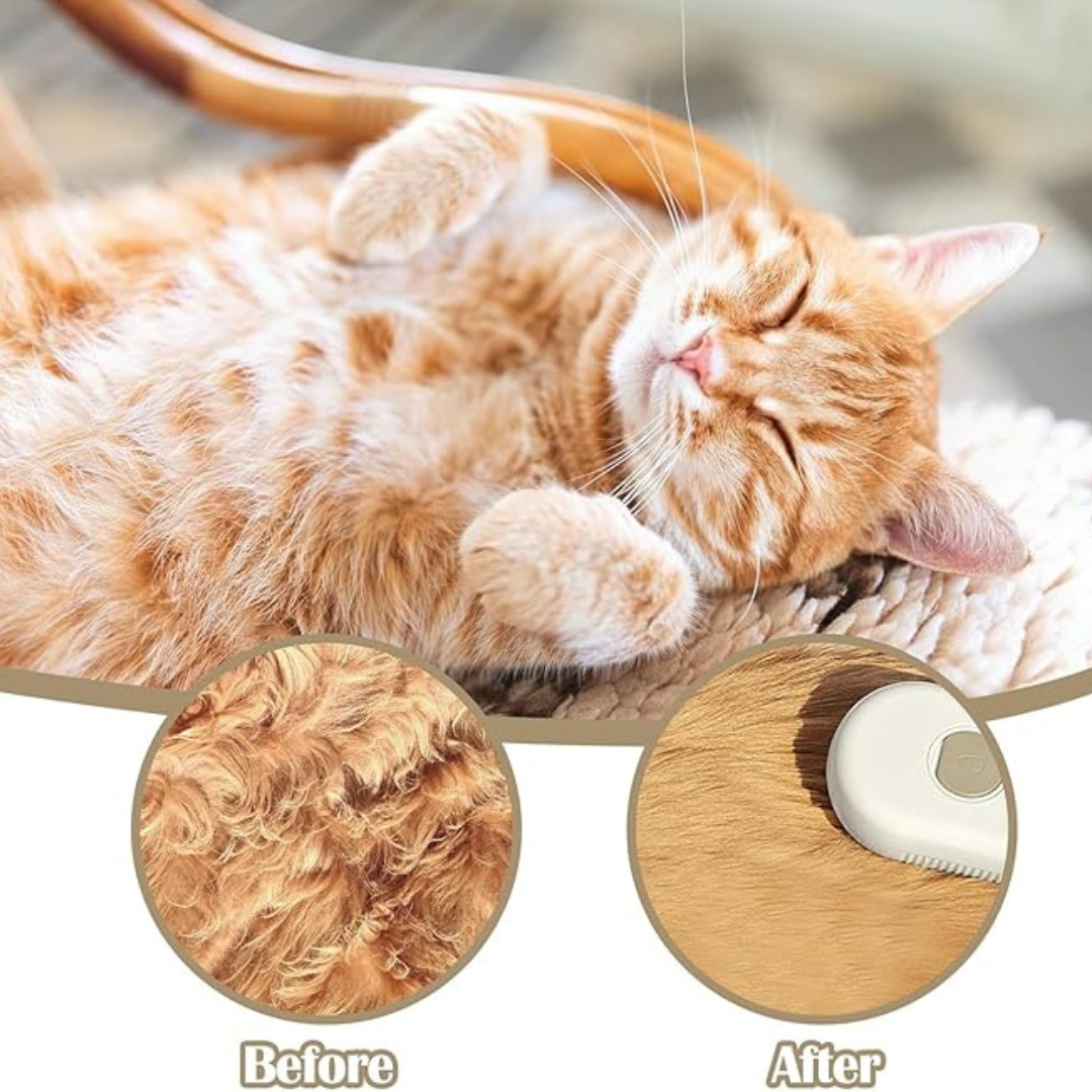 Luxury Cat Steam Brush 3 In 1  Self Cleaning Brush 🐈