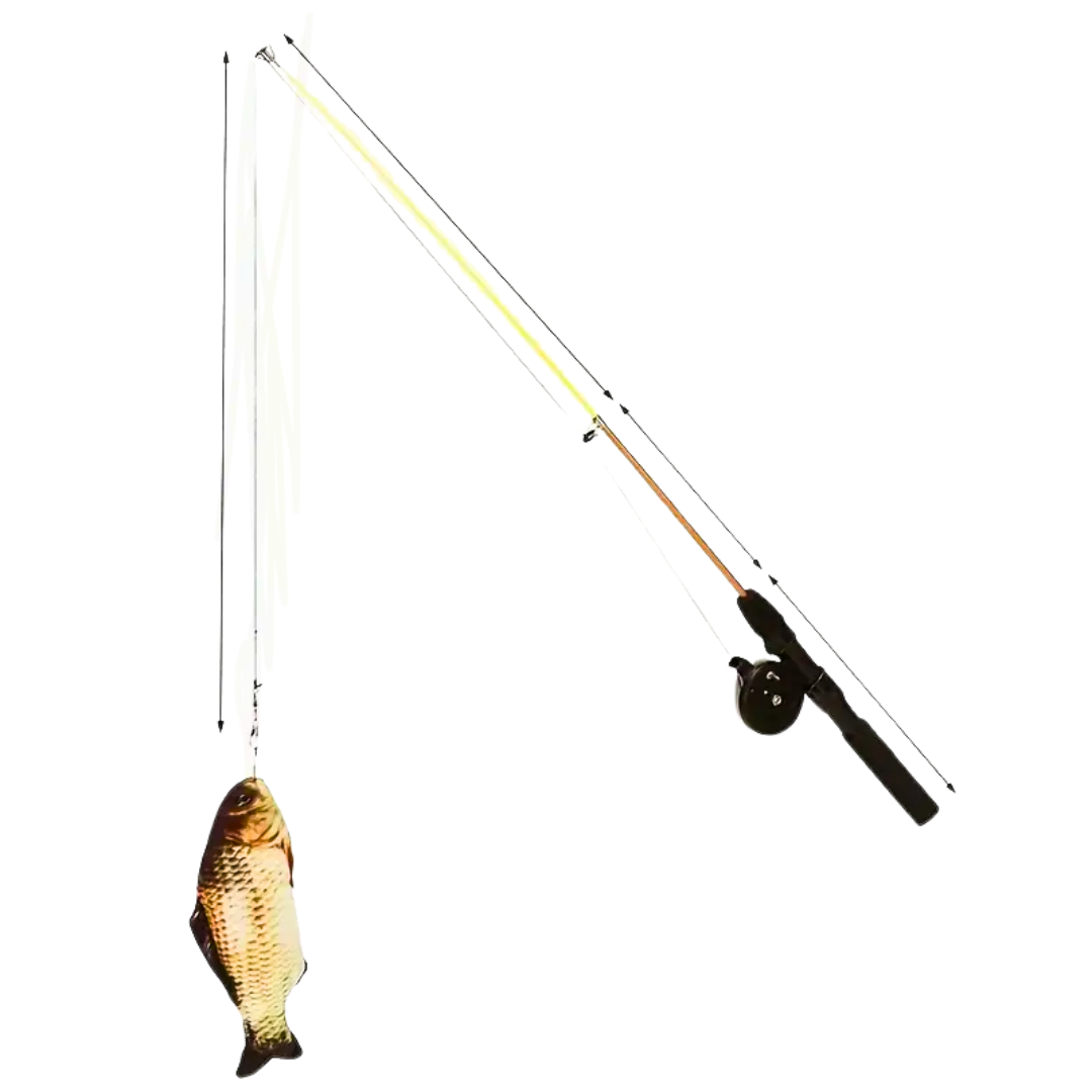 Cat Toy Fishing Rod