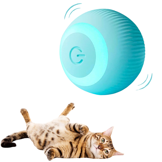 Interactive Cat Ball