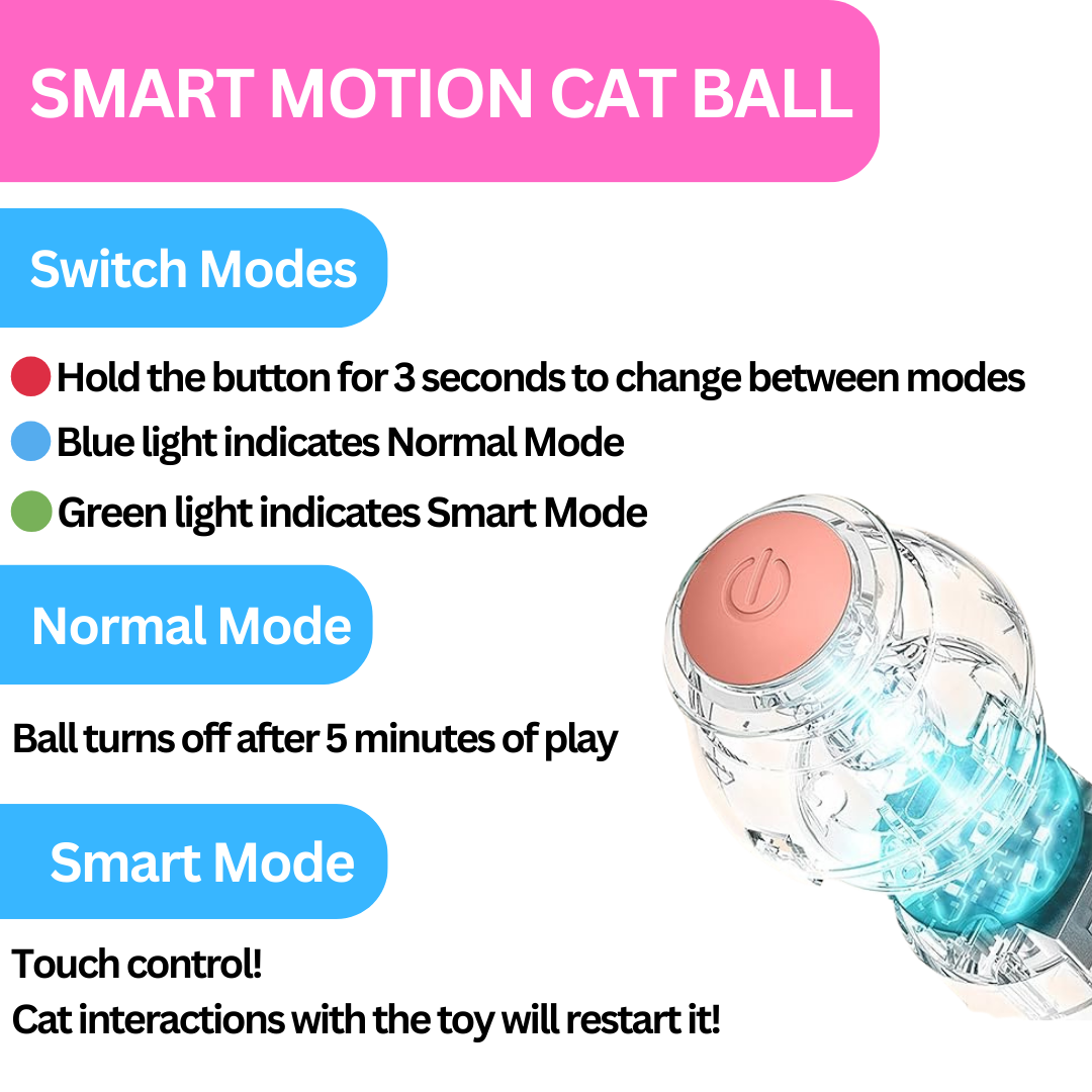 Smart Cat Toy