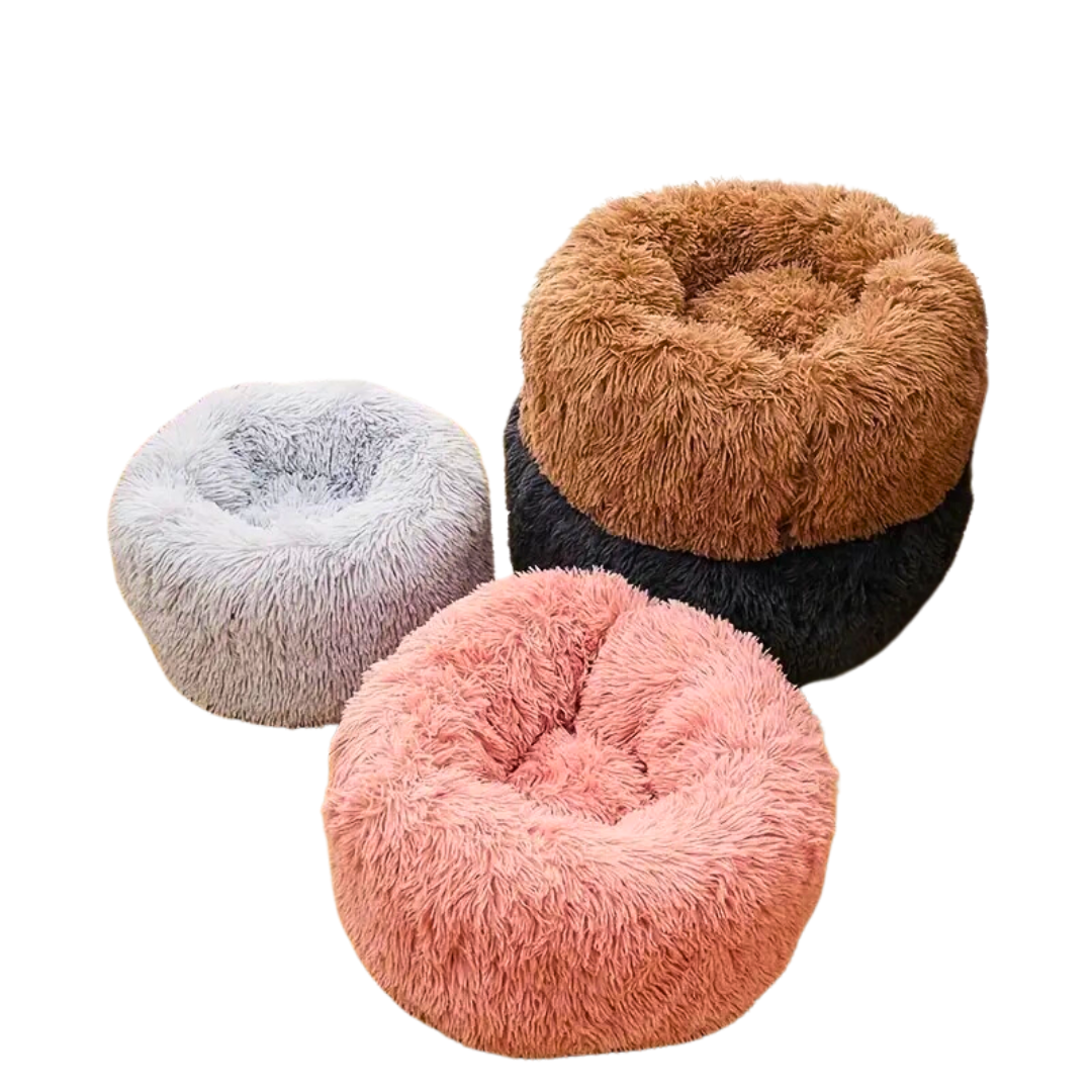 Cat Bed Color Options