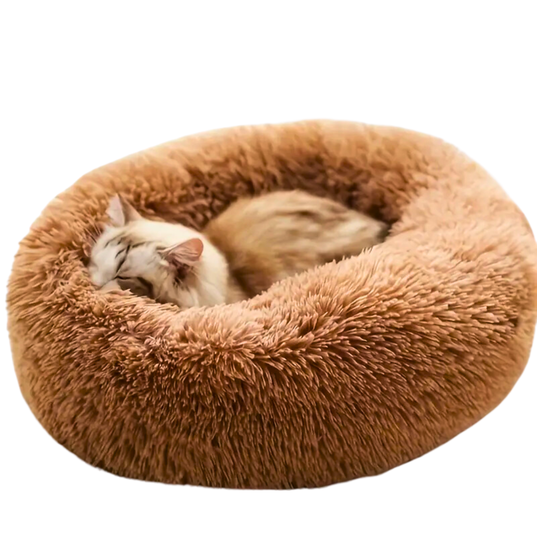 Small Brown Cat Bed