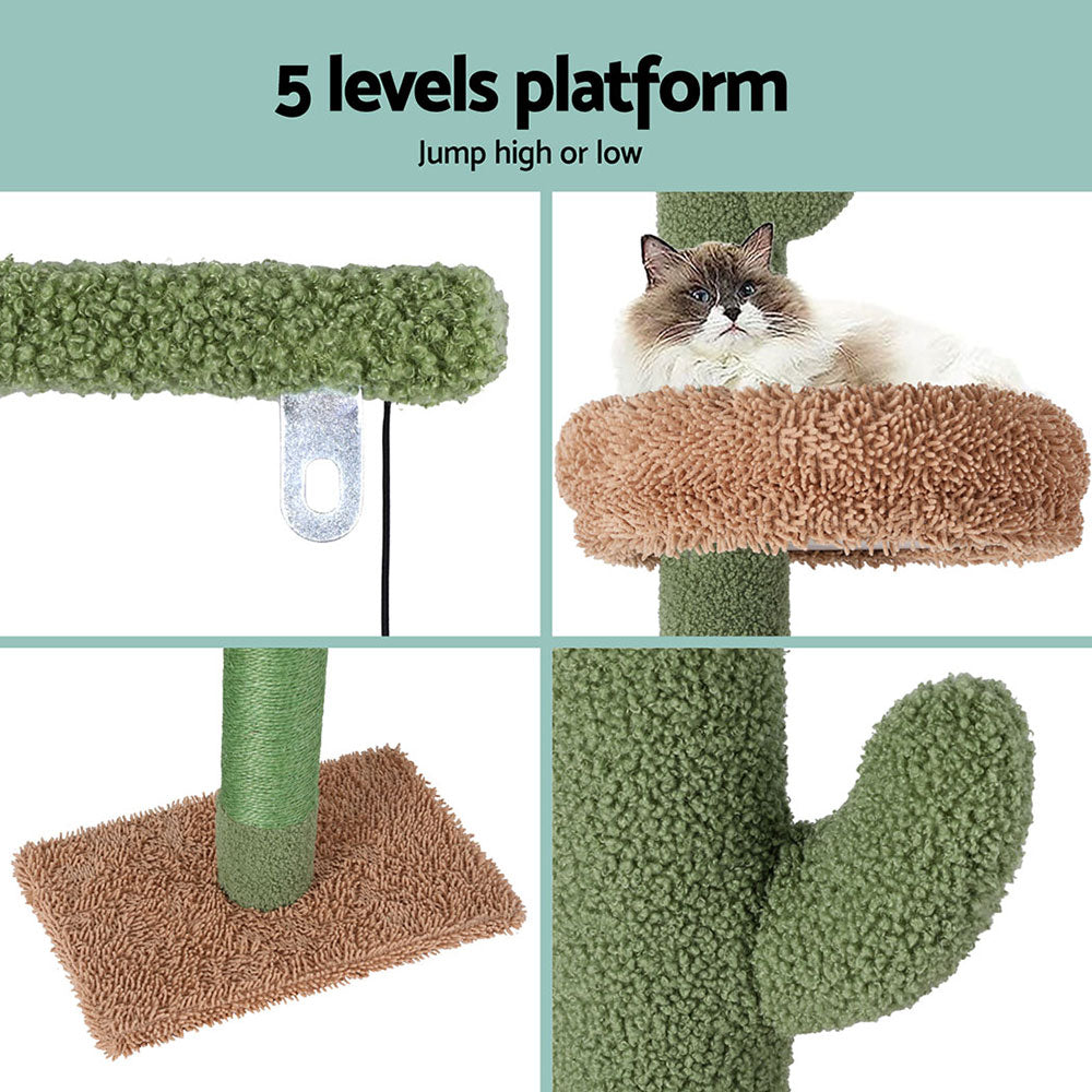 Green Brown Scratching Post